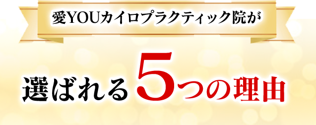 選ばれる5つの理由